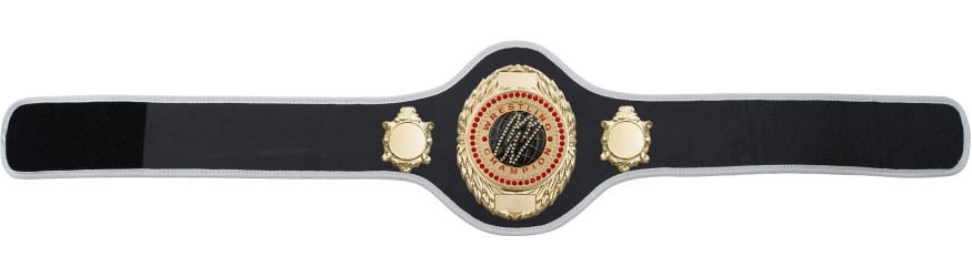 WRESTLING BELT-PRO286/G/WRESTGEMG-10+ COLOURS
